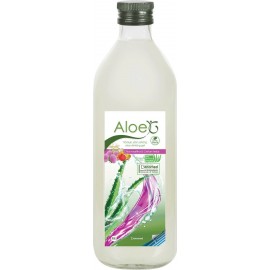 Genomed Aloe G Πόσιμο Gel Κρητικής Αλόης Μαστίχα & Στέβια 1lt